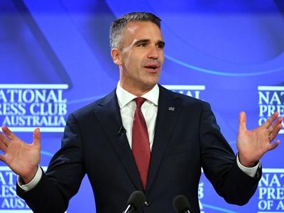 Next-gen SA premier seeks fed 'partner'