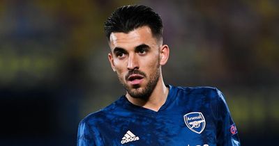 Ex-Arsenal star Dani Ceballos star ignites bizarre feud after Pierre-Emerick Aubameyang claim