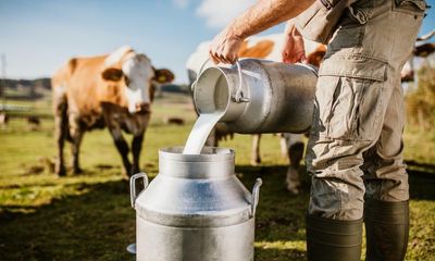 How much does a pint of milk cost? Not enough