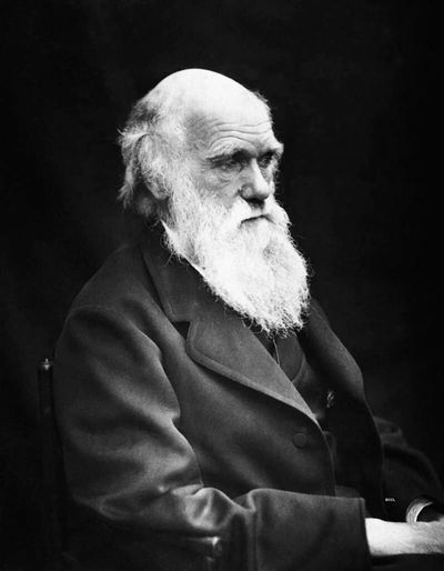 Charles Darwin's notebooks missing for 20 years returned to Cambridge
