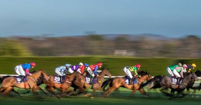 Leopardstown student race day horse racing betting tips