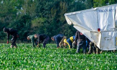 Chronic food industry worker shortfall could force prices even higher, MPs say