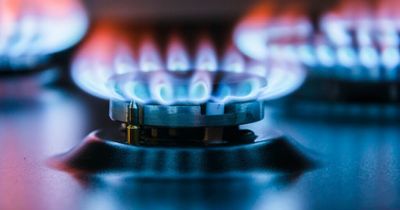 Energy companies ranked by households for customer service after price cap rise