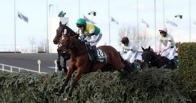 Office Grand National sweepstake could break the law because of Covid
