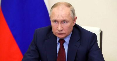 Vladimir Putin faces war crimes trial as 50 world leaders call for tribunal