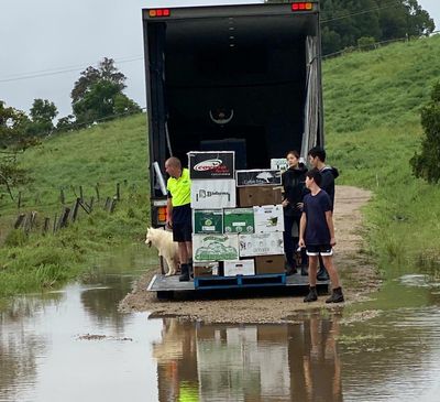 Farm life in the NSW northern rivers: ‘The anxiety is very real every time it starts to rain’