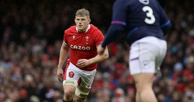 The 15 best young players in Welsh rugby right now and where Taine Basham ranks after Brian O'Driscoll's rave review