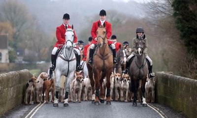 Wiltshire hunt supporters fined after admitting clashing with saboteurs