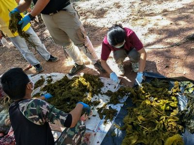 Thai national parks ban single-use plastics