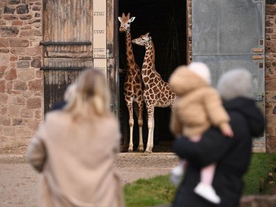 Chester Zoo has second wedding venue plan approved