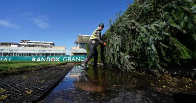 Grand National 2022 runners and going latest as Court Maid ruled out of race