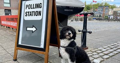 Caerphilly local elections 2022: what are the elections for and who can vote