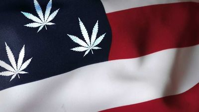 Cannabis News Week of 4/6: Senate Takes on Legalization; Tilray's Surprise Profit