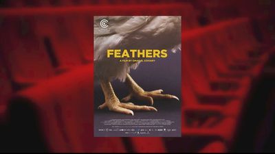 Film show: Egyptian feature on chicken magic trick ruffles feathers