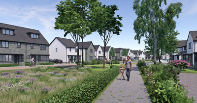 What the housing estate set to be built on a Swansea school playing fields will look like