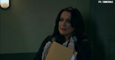 Who is Meena's barrister in Emmerdale? Amy Robbins' acting career and famous siblings