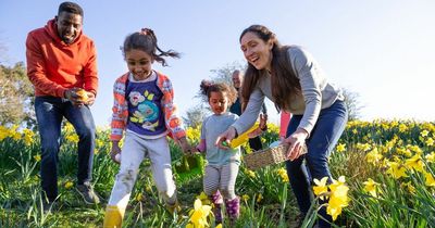 The big Easter egg hunts taking place across Wales