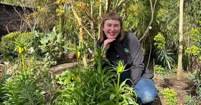 Garden centre slammed over staff 'smoking cannabis at work' only for it to be a stinky spring plant