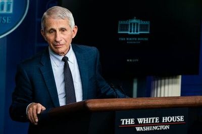 For just $2,500, you can serve on a fake jury to convict Anthony Fauci