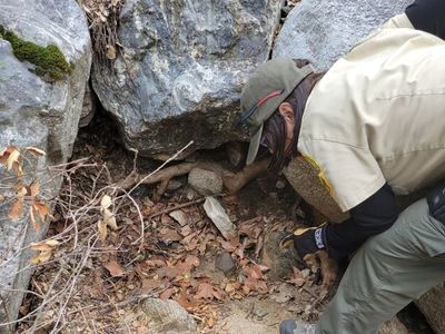 Nonverbal teen lost in forest clinks rocks together to capture rescuers’ attention