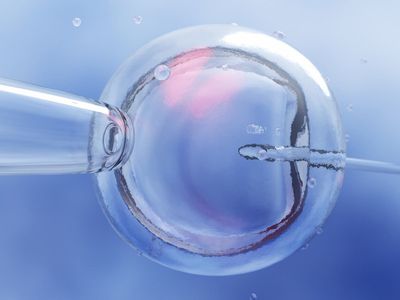 Couple sues fertility clinic, claiming they had to abort a stranger’s baby