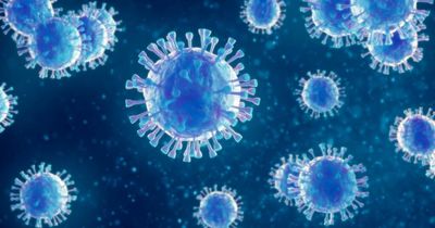 Wednesday's headlines: hepatitis outbreak and Glasgow nursery forced to close