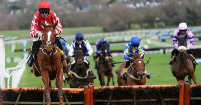 Grand National Aintree tips: Newsboy's 1-2-3 verdict for all seven races on day one