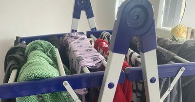 The Dunelm heated airer that costs 3p an hour to run - here's what one reporter thought