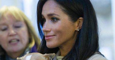 Meghan Markle cuts final ties to UK after stepping down as patron from animal charity Mayhew