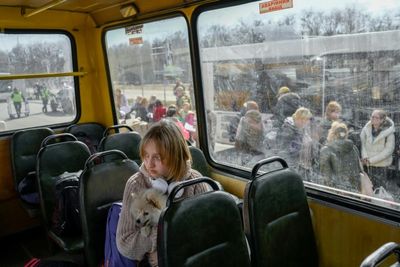 Red Cross evacuee convoy arrives from Russian-held city