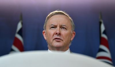 Shorten ally compares Albo to Jeremy Corbyn, to ‘help’ Labor