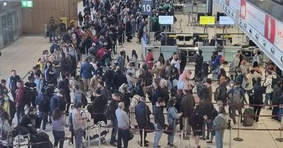 Senator says 'heads should roll' over massive Dublin Airport delays