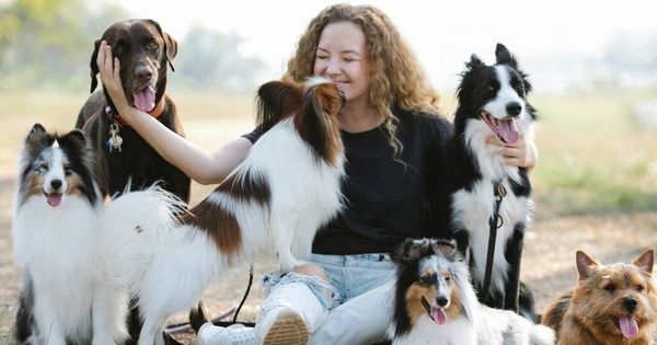 Experts issue warning over letting a dog lick your face