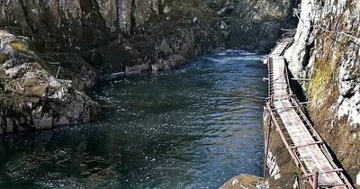 The rickety river walkway at a Welsh beauty spot that hardly anyone knows about