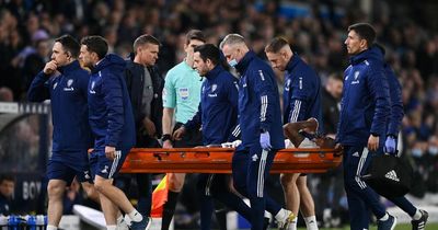 Extent of Leeds United injury crisis revealed as Everton and Watford plight also highlighted