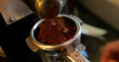 Glasgow coffee wholesaler boss slapped with nine-year ban on being director