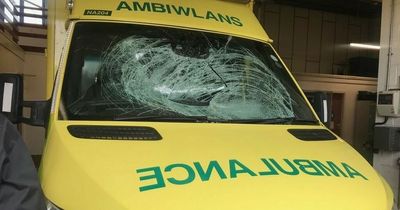 Low flying swans smash through ambulance windscreen at high speed on dual carriageway