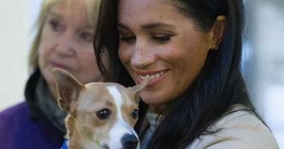 Meghan Markle severs last ties to the UK in final bold statement