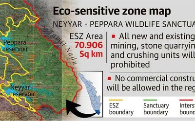 Explained | Proposed eco-sensitive zone in Neyyar and Peppara wildlife sanctuaries