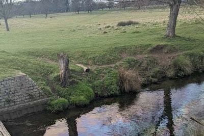 Oil-soaked heron dies after fishing in polluted south London river