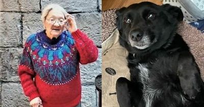 Devoted dog and owner to reunite in Ireland after escaping Ukraine war - and they're both 86