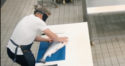 Gordon Ramsay fillets salmon while blindfolded in latest episode of Future Food stars