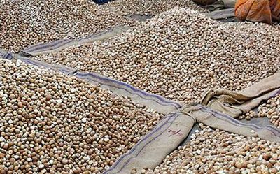 Union Government lacks estimate of arecanut traded outside tax network