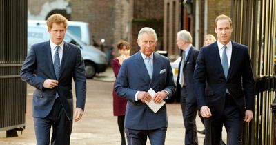 William and Charles were 'very angry' Harry put words in their mouths, says expert