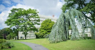 Things to do in Dublin this weekend: Best nights out, foodie experiences and family fun