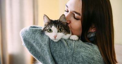 Martin Lewis sparks debate over whether pets 'are a luxury' amid cost of living crisis