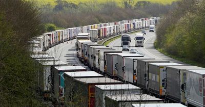 Chaos as 23-mile stretch of motorway closed due to ferry shortage