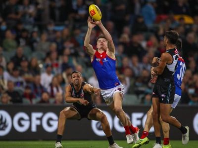 Melbourne deliver Power more AFL misery