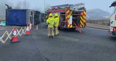 100 pigs dead after lorry crash on Irish road with vet, gardai and fire brigade called