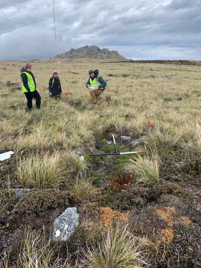 Falklands veterans back on islands to assist survey of battlefields